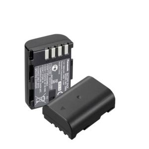 PANASONIC BATTERIE NUMERIQUE DMW-BLF19