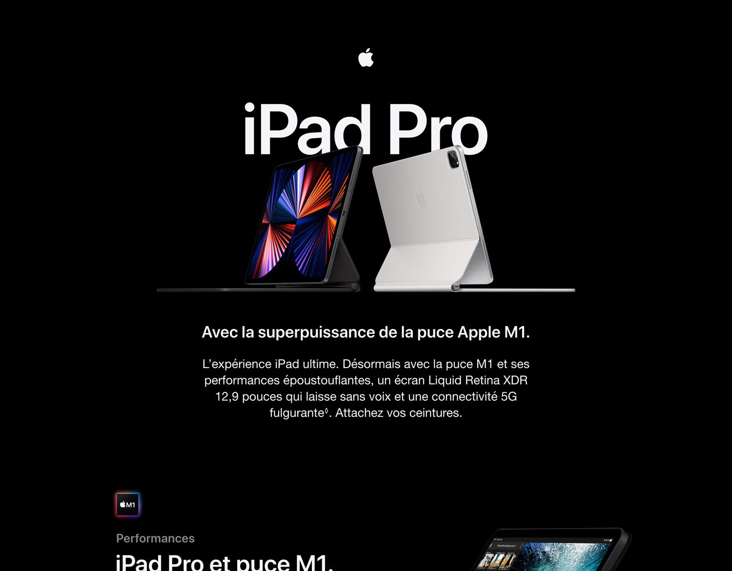 Apple iPad Pro (2021) 11 pouces 256Gb Wi-fi Gris Sideral - Tablette Internet - Apple M1 - 8Gb - eMMC 256Gb - Écran 11" Liquid Retina