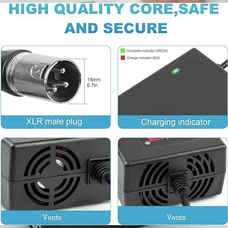 MOTOBIKE SMART CHARGER 48V20AH /48V – Image 4