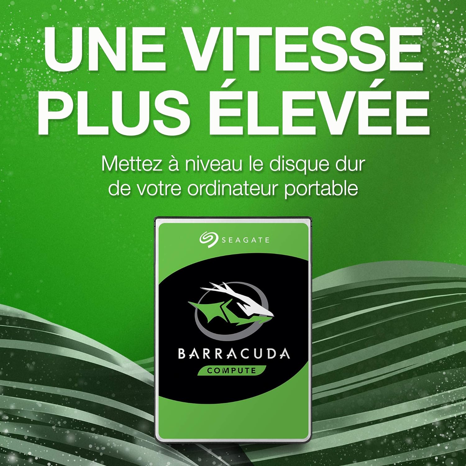 Dakar, Diourbel, Fatick, Kaffrine, Kaolack, Kédougou, Kolda, Louga, Matam, Saint-Louis, Sédhiou, Tambacounda, Thiès et de Ziguinchor