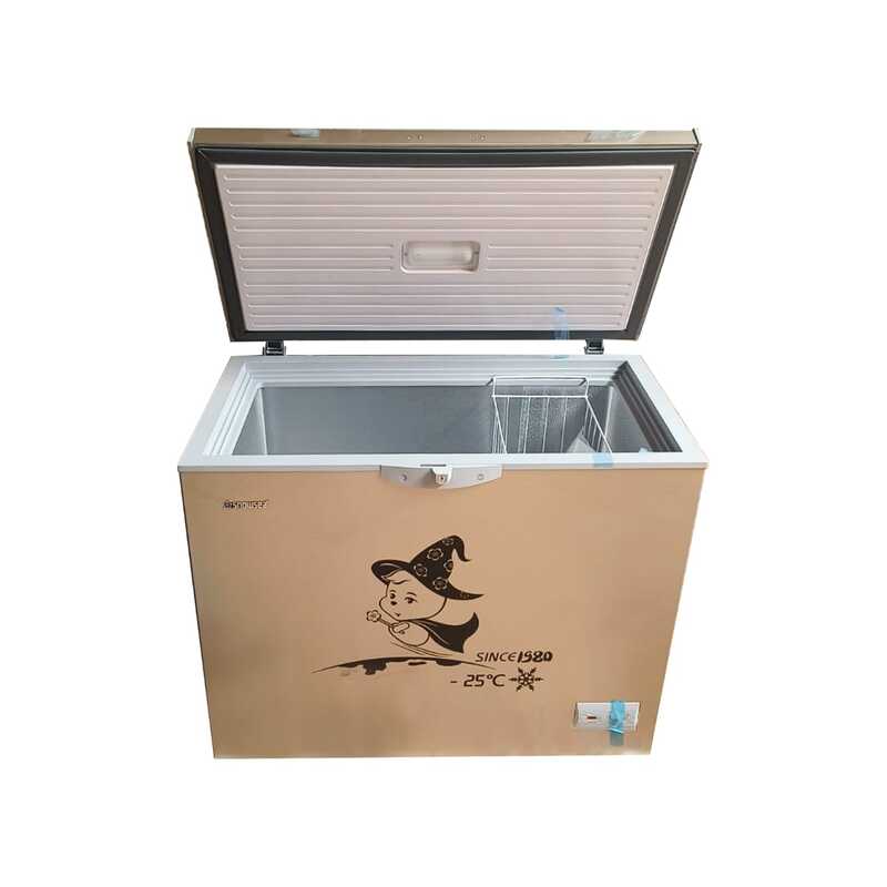 CONGELATEUR SNOWSEA HORIZONTAL 300LITRES GOLD BD-258G