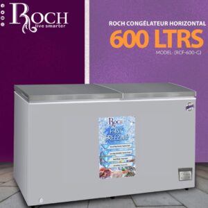CONGELATEUR ROCH HORIZONTAL 600LITRES GRIS RCF600G Vente achat Dakar Sénégal